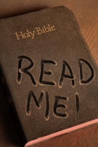 read-the-bible-through